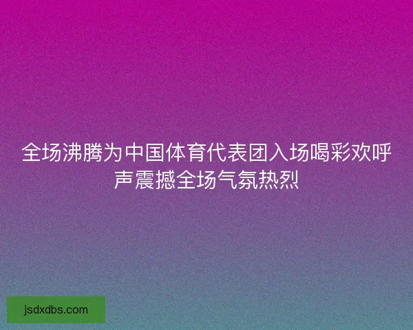 全场沸腾为中国体育代表团入场喝彩欢呼声震撼全场气氛热烈